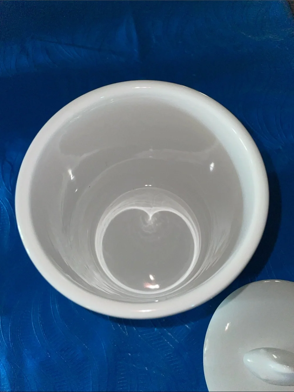 Park Life White Ceramic Cat Treat Jar with Lid